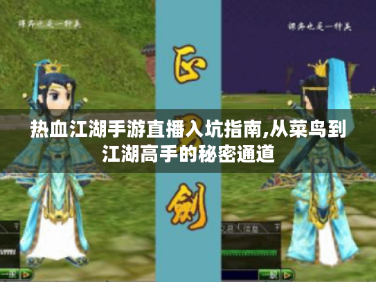 热血江湖手游直播入坑指南,从菜鸟到江湖高手的秘密通道