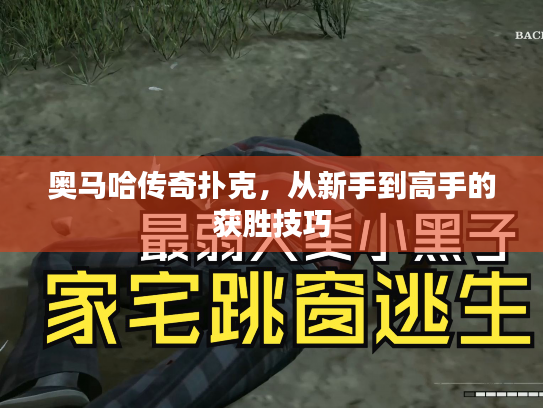 奥马哈传奇扑克，从新手到高手的获胜技巧