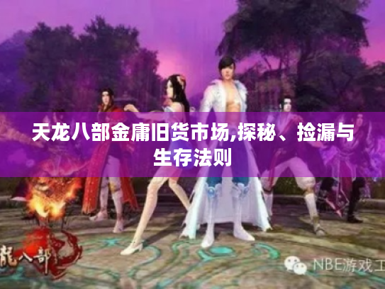 天龙八部金庸旧货市场,探秘、捡漏与生存法则