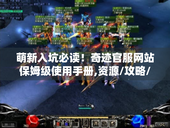 萌新入坑必读！奇迹官服网站保姆级使用手册,资源/攻略/避坑全指南