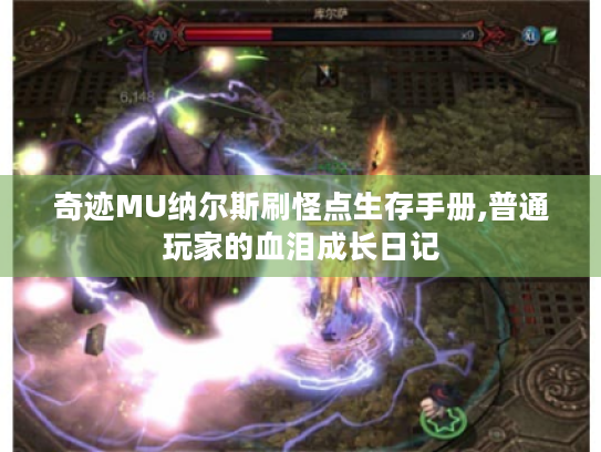 奇迹MU纳尔斯刷怪点生存手册,普通玩家的血泪成长日记