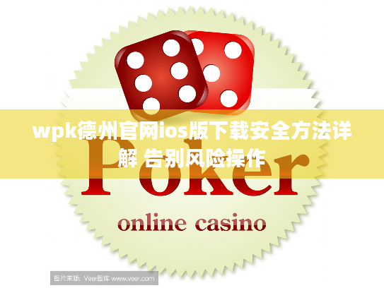 wpk德州官网ios版下载安全方法详解 告别风险操作