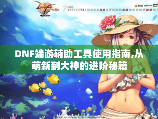 DNF端游辅助工具使用指南,从萌新到大神的进阶秘籍
