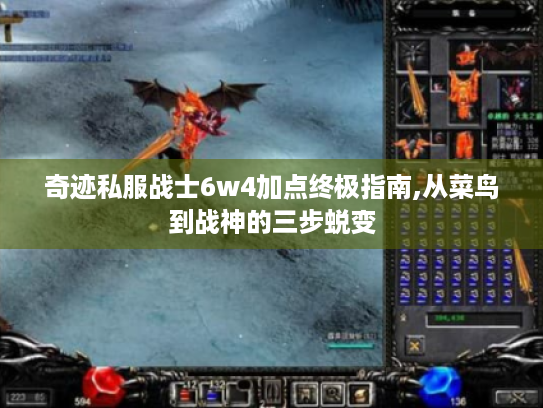 奇迹私服战士6w4加点终极指南,从菜鸟到战神的三步蜕变