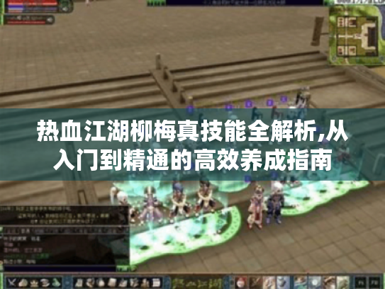 热血江湖柳梅真技能全解析,从入门到精通的高效养成指南 热血江湖柳梅真技能全解析,从入门到精通的高效养成指南