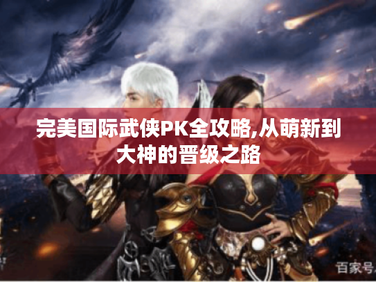 完美国际武侠PK全攻略,从萌新到大神的晋级之路 完美国际武侠PK全攻略,从萌新到大神的晋级之路