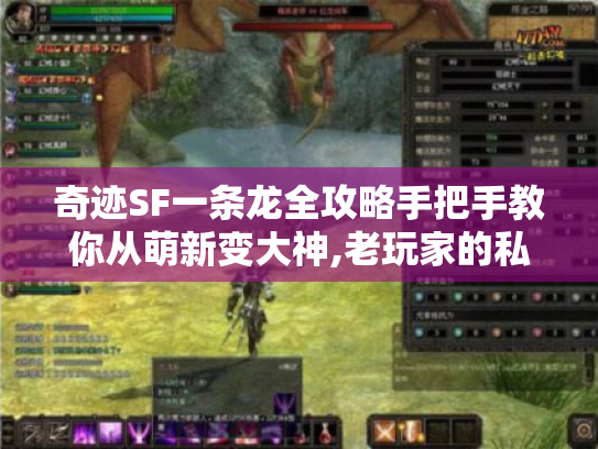 奇迹SF一条龙全攻略手把手教你从萌新变大神,老玩家的私服生存手册 奇迹SF一条龙全攻略手把手教你从萌新变大神,老玩家的私服生存手册