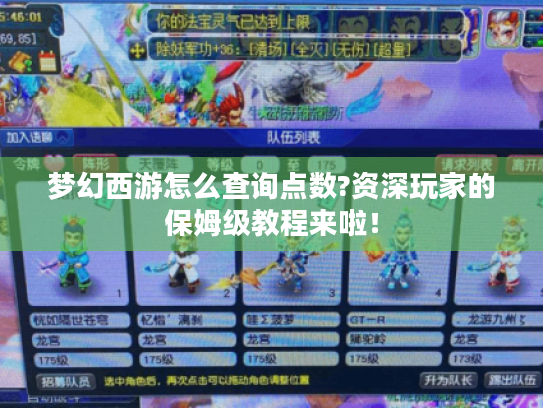 梦幻西游怎么查询点数?资深玩家的保姆级教程来啦! 梦幻西游怎么查询点数?资深玩家的保姆级教程来啦!