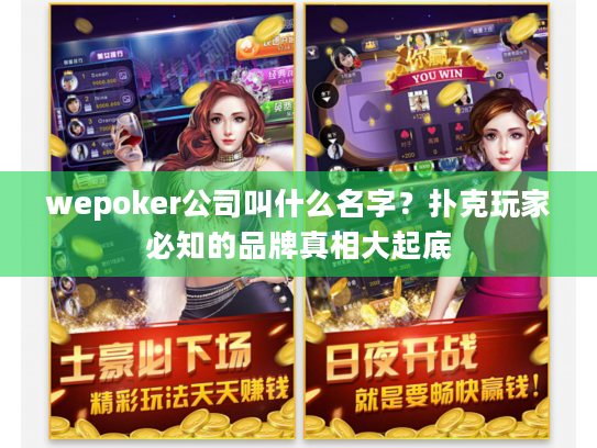 wepoker公司叫什么名字？扑克玩家必知的品牌真相大起底