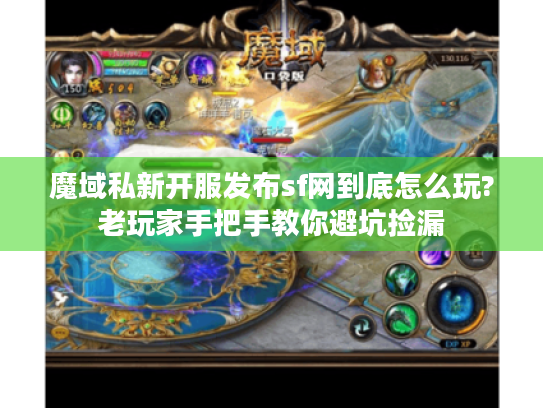 魔域私新开服发布sf网到底怎么玩?老玩家手把手教你避坑捡漏