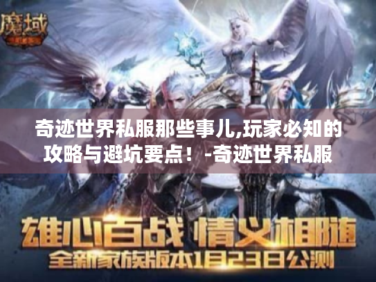 奇迹世界私服那些事儿,玩家必知的攻略与避坑要点！-奇迹世界私服
