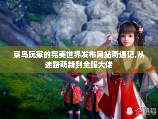 菜鸟玩家的完美世界发布网站奇遇记,从迷路萌新到全服大佬