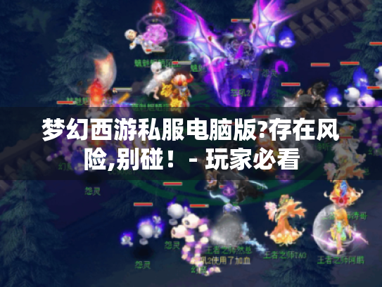 梦幻西游私服电脑版?存在风险,别碰！- 玩家必看