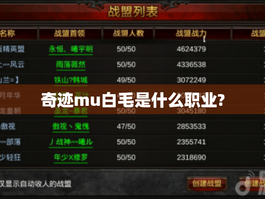 奇迹mu白毛是什么职业?