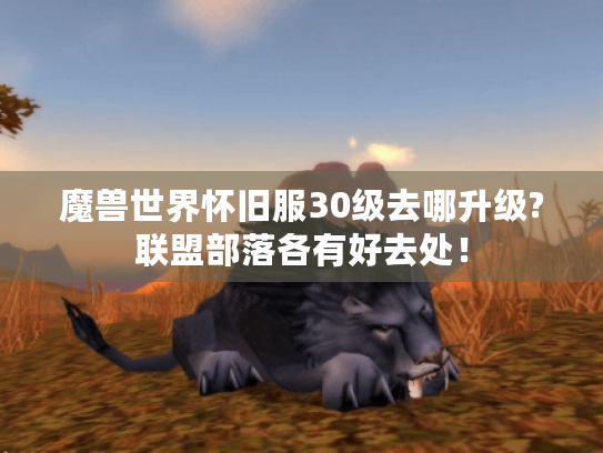魔兽世界怀旧服30级去哪升级?联盟部落各有好去处！