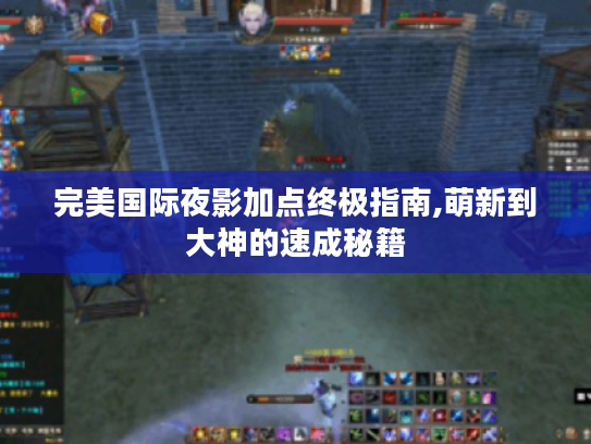 完美国际夜影加点终极指南,萌新到大神的速成秘籍