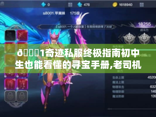 🔍1奇迹私服终极指南初中生也能看懂的寻宝手册,老司机教你避坑+爽玩！