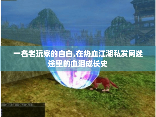 一名老玩家的自白,在热血江湖私发网迷途里的血泪成长史