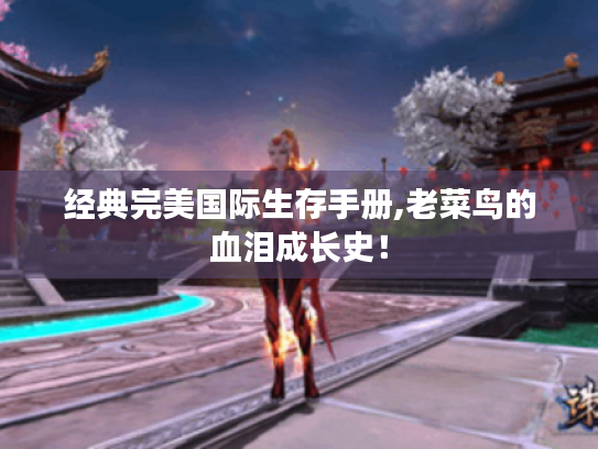 经典完美国际生存手册,老菜鸟的血泪成长史！