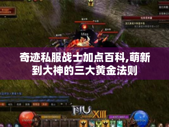 奇迹私服战士加点百科,萌新到大神的三大黄金法则