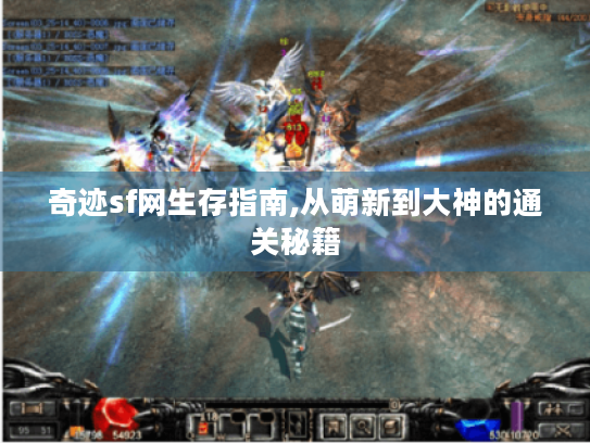 奇迹sf网生存指南,从萌新到大神的通关秘籍