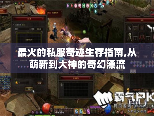 最火的私服奇迹生存指南,从萌新到大神的奇幻漂流