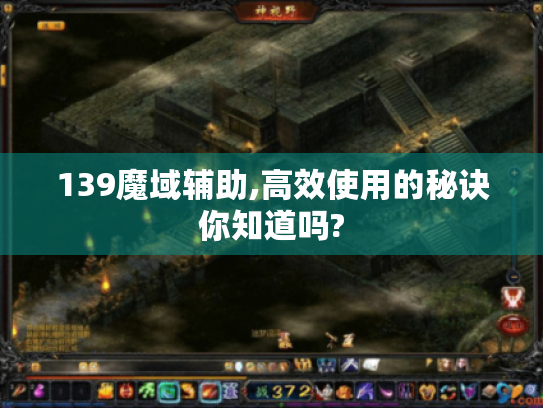 139魔域辅助,高效使用的秘诀你知道吗?