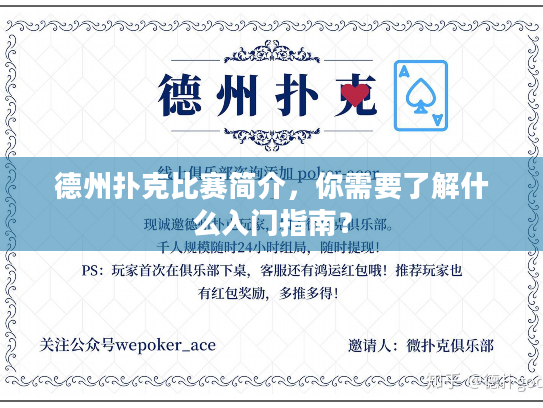 德州扑克比赛简介，你需要了解什么入门指南？