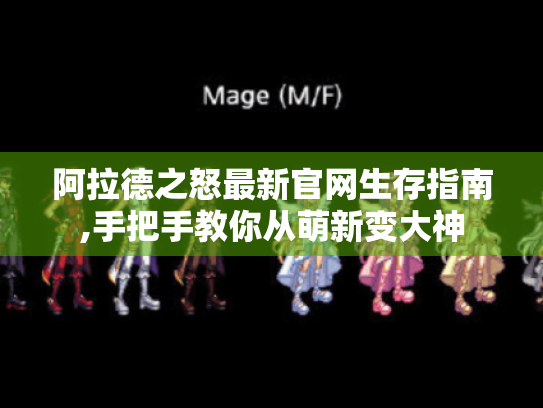 阿拉德之怒最新官网生存指南,手把手教你从萌新变大神