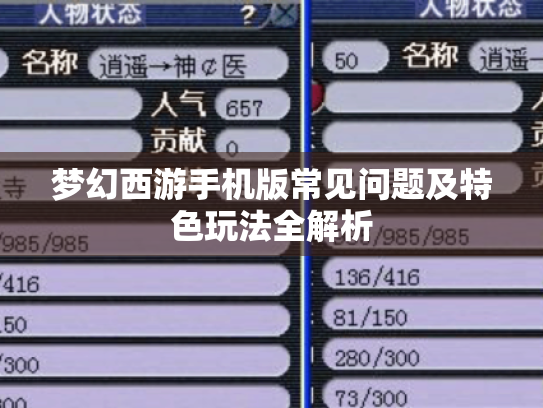 梦幻西游手机版常见问题及特色玩法全解析