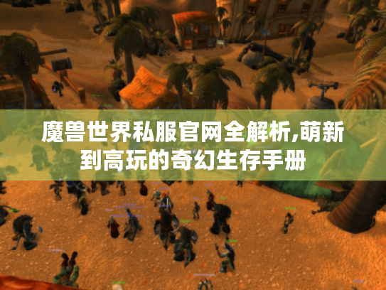 魔兽世界私服官网全解析,萌新到高玩的奇幻生存手册