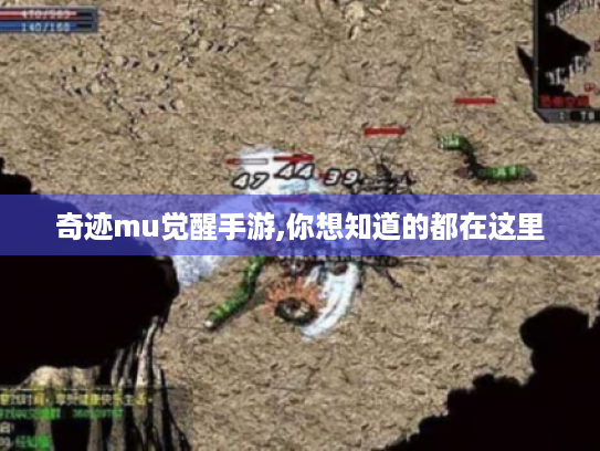 奇迹mu觉醒手游,你想知道的都在这里 奇迹mu觉醒手游,你想知道的都在这里