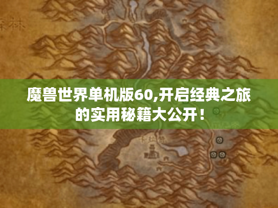 魔兽世界单机版60,开启经典之旅的实用秘籍大公开！