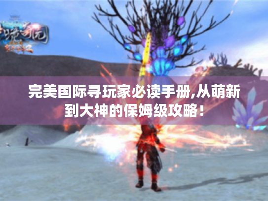 完美国际寻玩家必读手册,从萌新到大神的保姆级攻略！