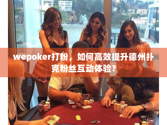 wepoker打粉，如何高效提升德州扑克粉丝互动体验？