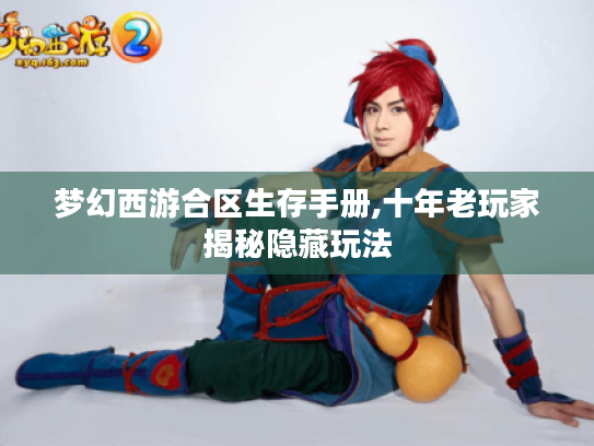 梦幻西游合区生存手册,十年老玩家揭秘隐藏玩法