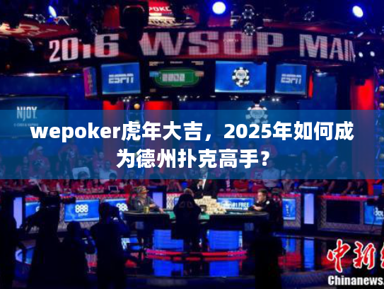 wepoker虎年大吉，2025年如何成为德州扑克高手？