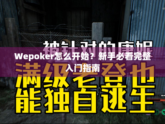 Wepoker怎么开始？新手必看完整入门指南
