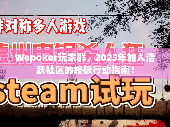 Wepoker玩家群，2025年加入活跃社区的终极行动指南！