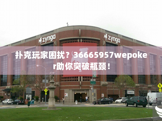 扑克玩家困扰？36665957wepoker助你突破瓶颈！