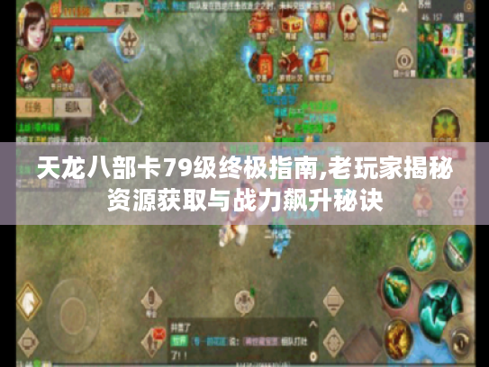 天龙八部卡79级终极指南,老玩家揭秘资源获取与战力飙升秘诀