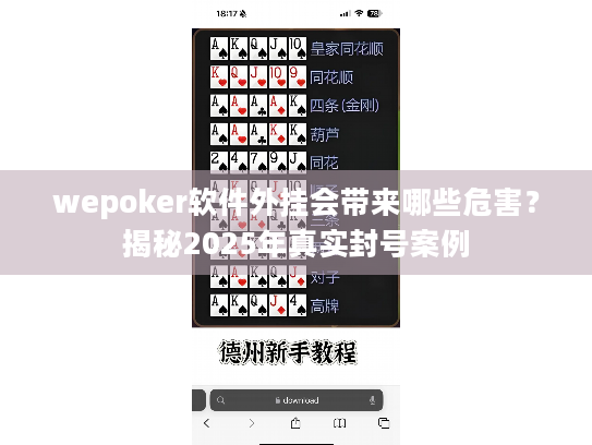 wepoker软件外挂会带来哪些危害？揭秘2025年真实封号案例