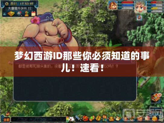 梦幻西游ID那些你必须知道的事儿!速看! 梦幻西游ID那些你必须知道的事儿!速看!