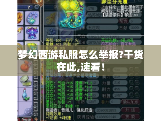 梦幻西游私服怎么举报?干货在此,速看！