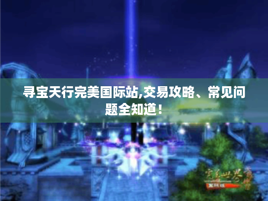 寻宝天行完美国际站,交易攻略、常见问题全知道！