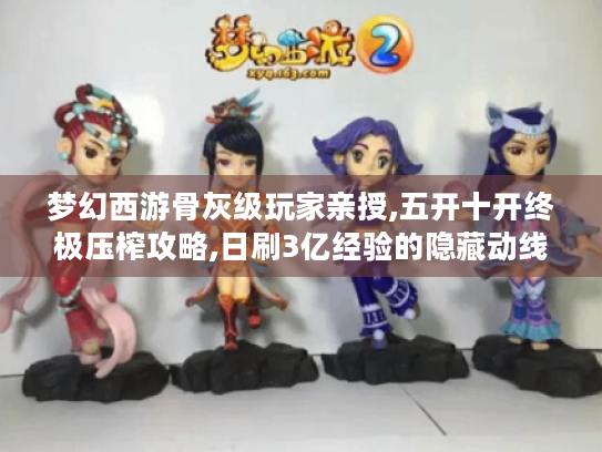 梦幻西游骨灰级玩家亲授,五开十开终极压榨攻略,日刷3亿经验的隐藏动线