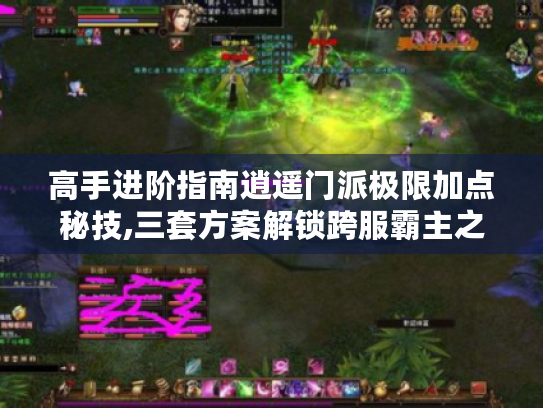 高手进阶指南逍遥门派极限加点秘技,三套方案解锁跨服霸主之路