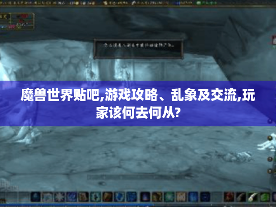 魔兽世界贴吧,游戏攻略、乱象及交流,玩家该何去何从?