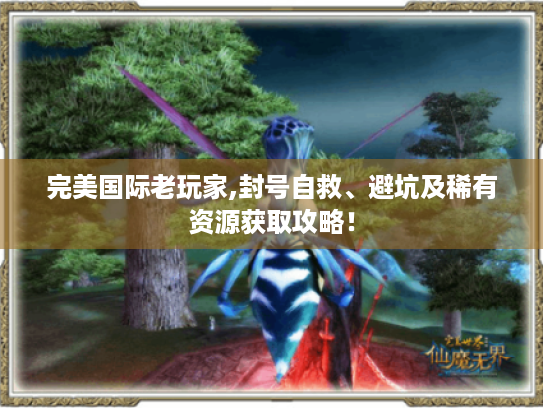 完美国际老玩家,封号自救、避坑及稀有资源获取攻略！