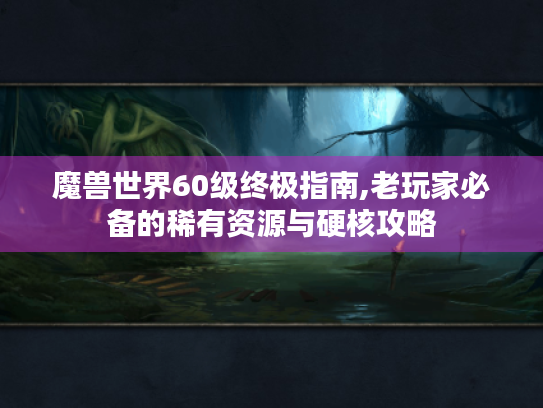 魔兽世界60级终极指南,老玩家必备的稀有资源与硬核攻略